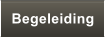 Begeleiding